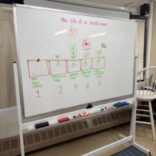 66e7a912-eb82-49de-89b0-4ceeb480842d